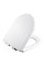 Vas WC Creavit Terra TP325.001