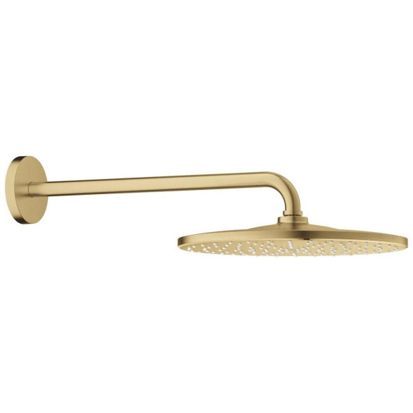 Palarie de dus cu brat Grohe Rainshower D310 Mono 26558GN0