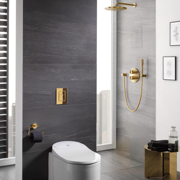 Clapeta WC Grohe Skate Cosmopolitan 38732DL0