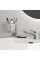 Стакан для зубных щеток Ideal Standard Atelier Conca T4504GN