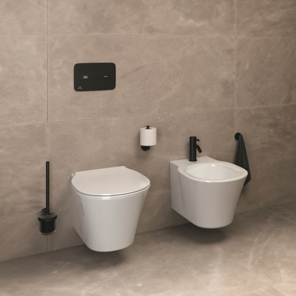 Perie de toaleta Ideal Standard IOM A9119XG