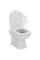 Vas WC Ideal Standard Atelier Calla E222501
