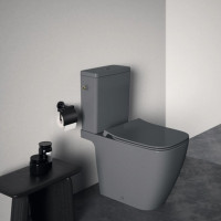 Vas WC Ideal Standard I.life B Grey