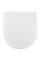 Capac WC Roca Ona Compact Soft Close A801E22001