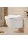 Capac WC Roca Ona Compact Soft Close A801E22001