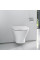 Vas WC Roca Nexo A34664L000