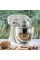 Планетарный миксер KitchenAid Artisan 5KSM125EMH