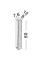 Aplica Nova Luce Aurelia 9333074