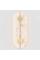 Бра Nova Luce Aider 9019744